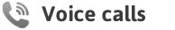 Voice Call